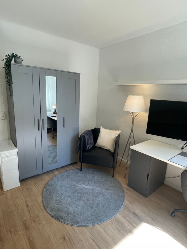 Elfriede4: fantastic renovated quiet apartment in GE for rent - Gallery - 12