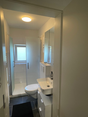 Elfriede4: fantastic renovated quiet apartment in GE for rent