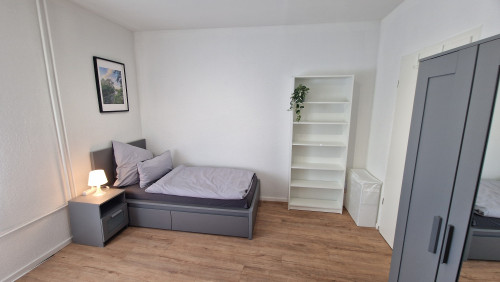 Elfriede2: fantastic renovated quiet apartment in GE for rent