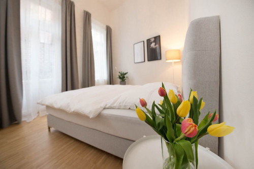 Modern furnished apartment, near Frankenberger Quarter! - Gallery - 10