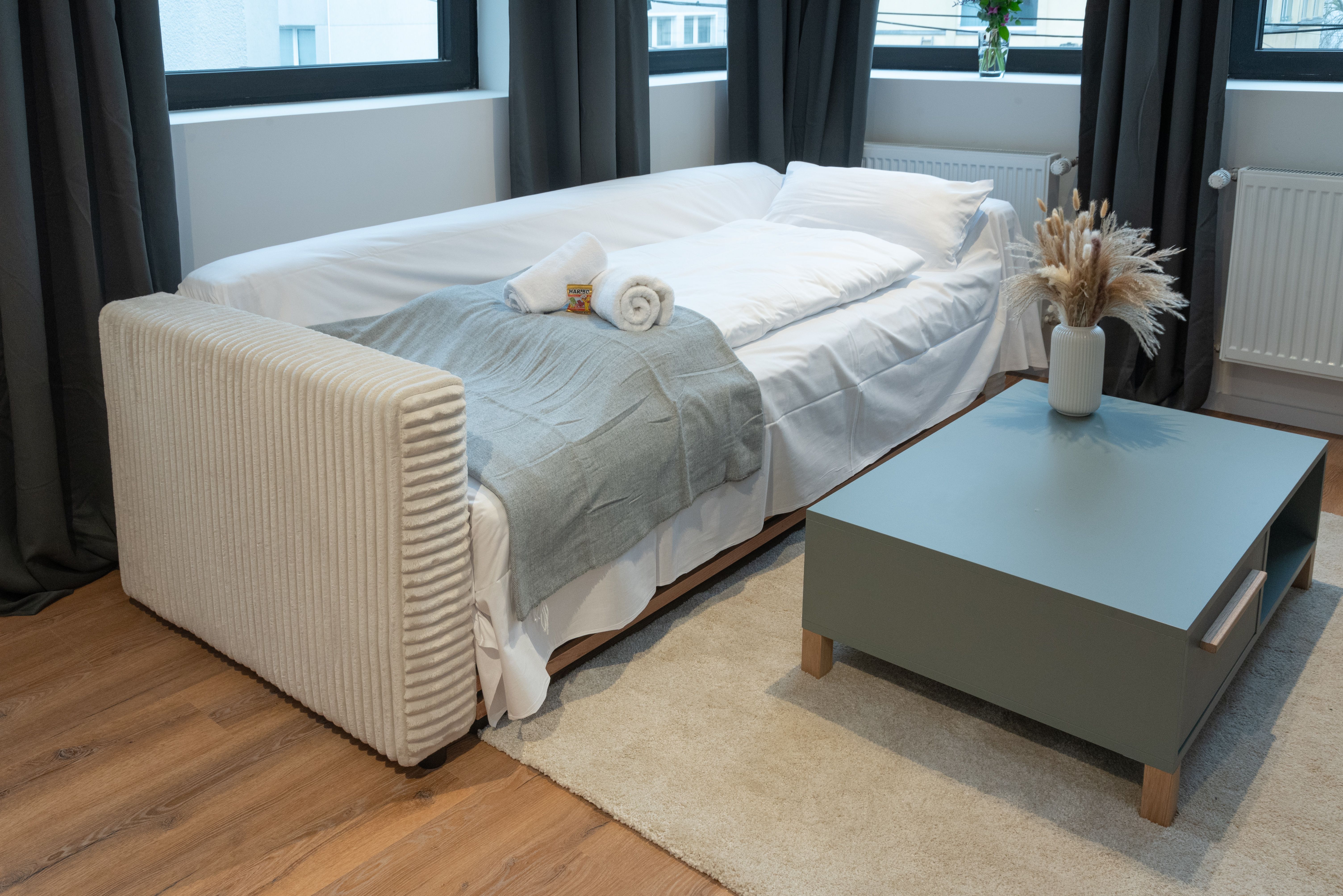 Modern City Apartment By Kennedyplatz Near Station - 3
