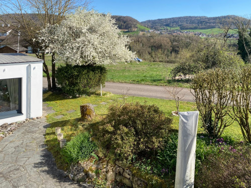 Beautiful furnished apartment in Hohentengen am Hochrhein - Gallery - 7