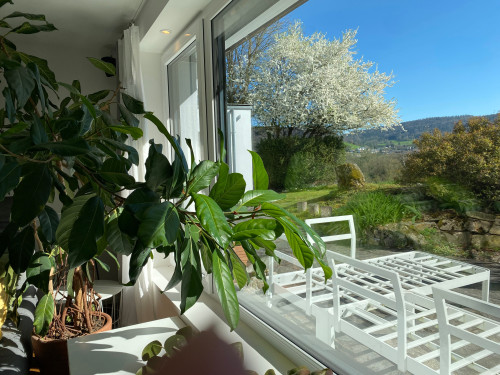 Beautiful furnished apartment in Hohentengen am Hochrhein - Gallery - 15
