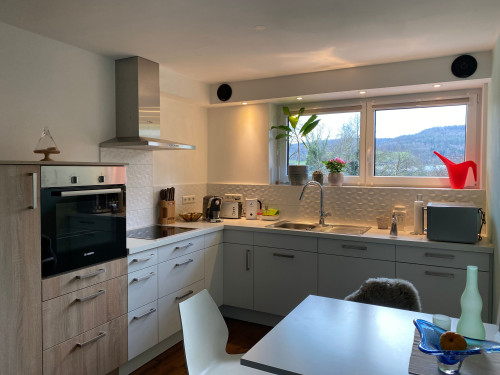 Beautiful furnished apartment in Hohentengen am Hochrhein - Gallery - 6