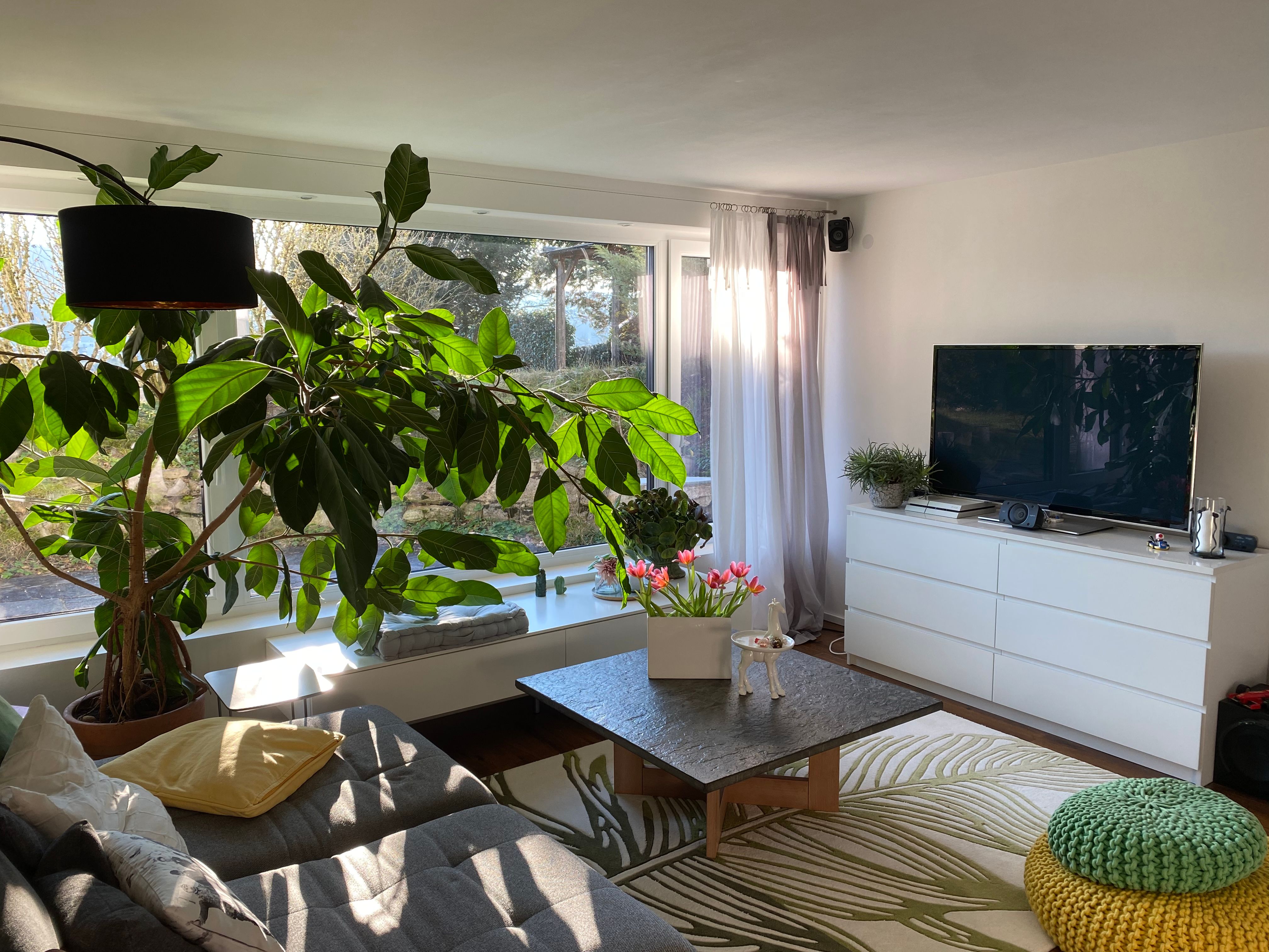 Beautiful Furnished Apartment In Hohentengen Am Hochrhein - 15