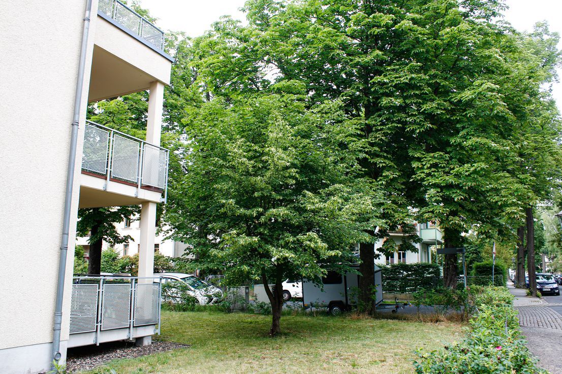 Bright 3-Room Apartment With Large Balcony In An Upscale Residential Area In Striesen - 6