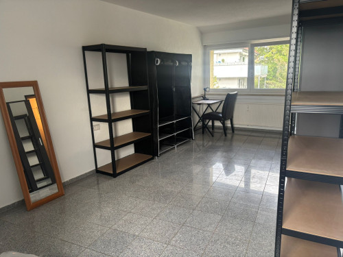 Bright, Spacious, 3-Room Apartment in Heilbronn Sontheim