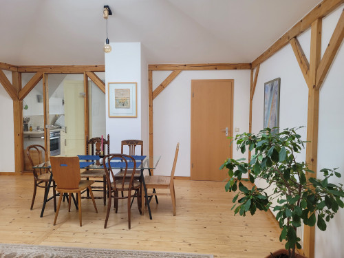 Beautiful, bright apartment in the Gründerzeit district (Weimar) - Gallery - 21