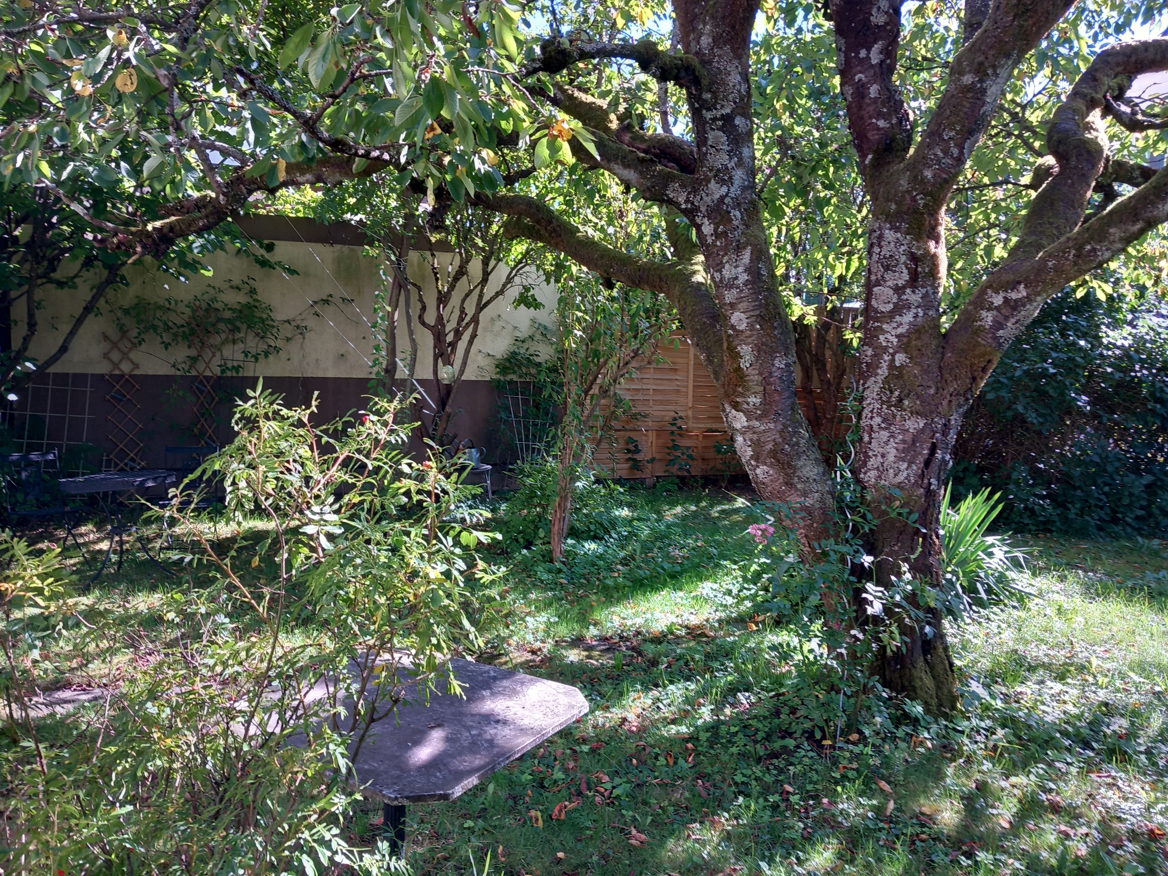 Bright And Quiet Home - 14