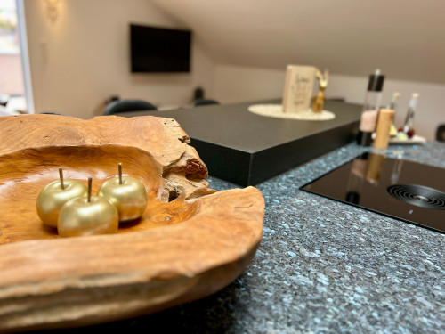 First-class BLACK FOREST business flats with a large roof terrace in Kippenheim *New building*