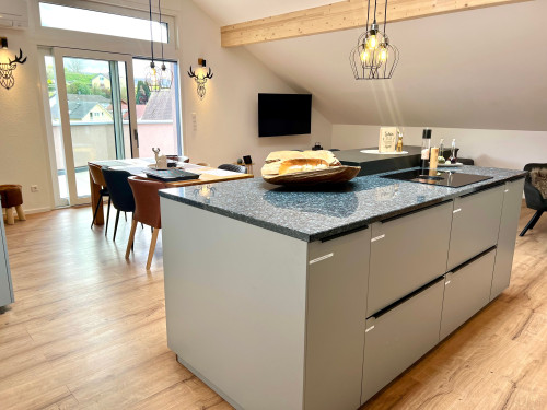 First-class BLACK FOREST business flats with a large roof terrace in Kippenheim *New building*