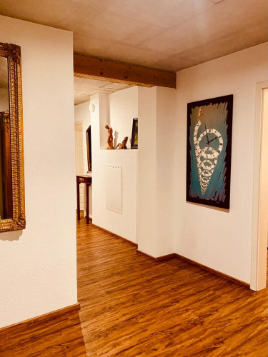Modern apartment in green surroundings, 15min. from Zurich Airport/Switzerland - Gallery - 7
