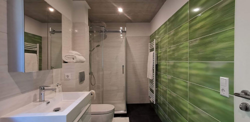 Modern apartment in green surroundings, 15min. from Zurich Airport/Switzerland - Gallery - 6