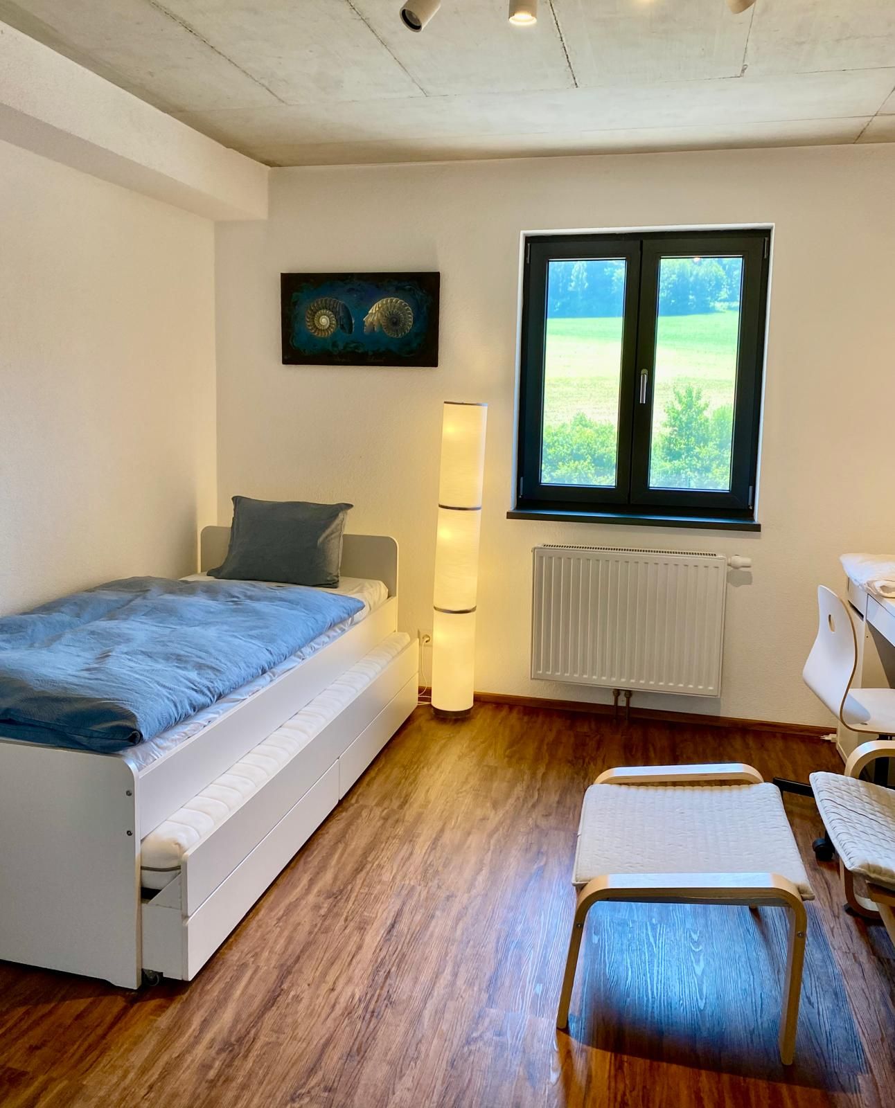 Modern Apartment In Green Surroundings, 15min. From Zurich Airport/Switzerland - 1