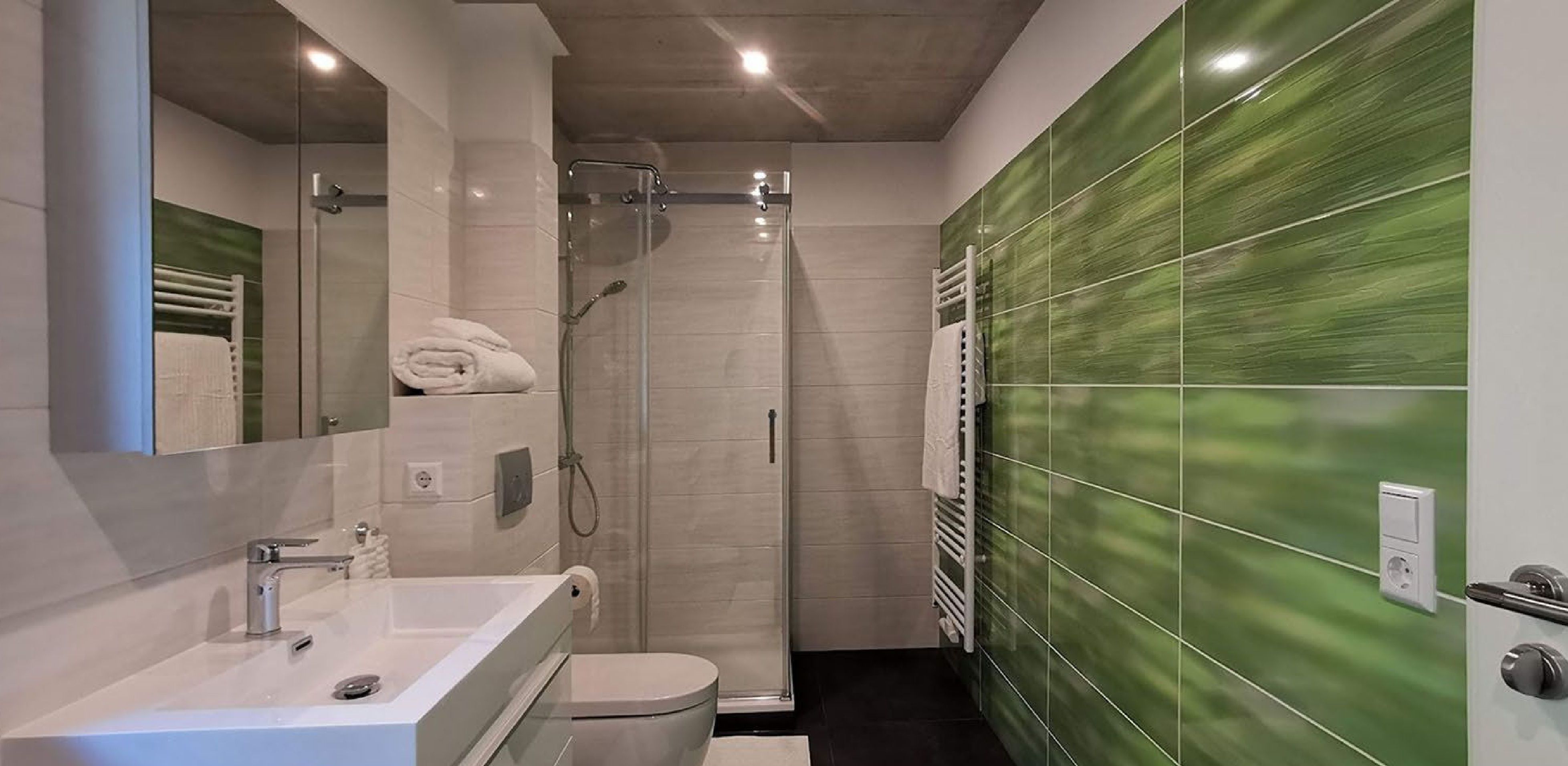 Modern Apartment In Green Surroundings, 15min. From Zurich Airport/Switzerland - 4