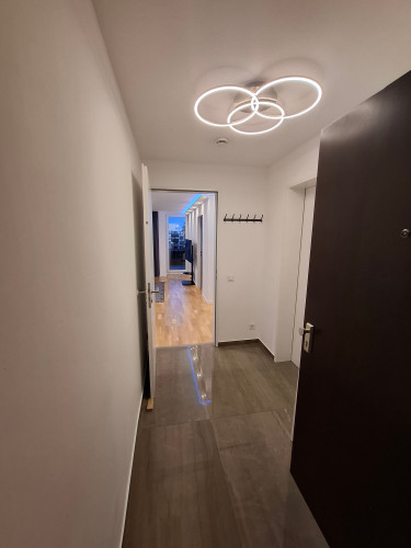 Quiet & cozy 2.5 apartment in Munich - Gallery - 20
