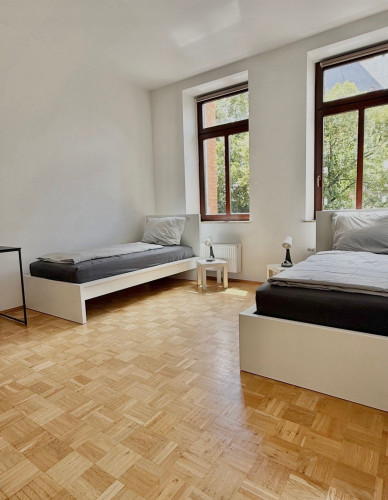 Beautiful and cozy apartment in the heart of the city