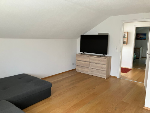 Top modern, very quiet apartment directly by the forest - 5 min by bike from Lake Constance - Gallery - 8