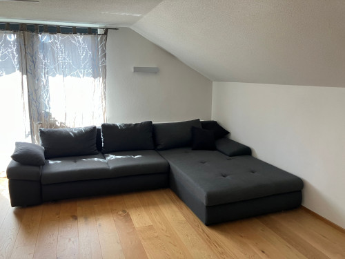 Top modern, very quiet apartment directly by the forest - 5 min by bike from Lake Constance - Gallery - 9