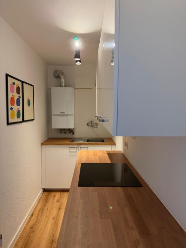 Fashionable & perfect 5 bedroom apartment in Düsseldorf - Gallery - 6