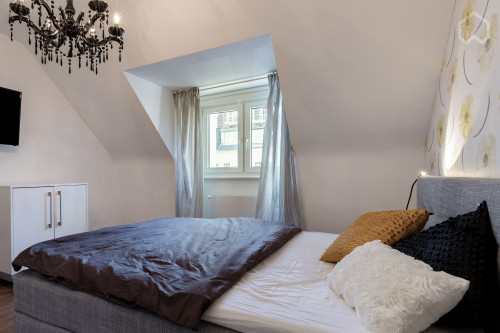 Fashionable and bright studio (Düsseldorf)
