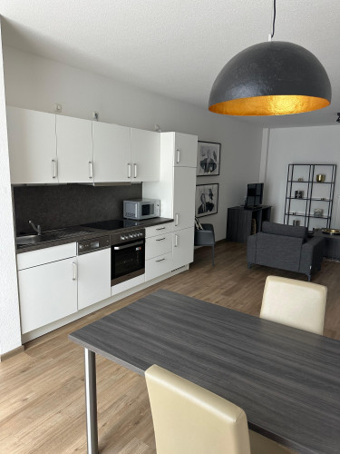 Modern fully furnished apartments in Frankfurt am Main