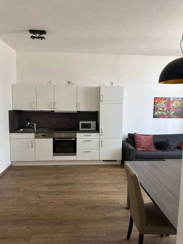 Modern fully furnished apartments in Frankfurt am Main