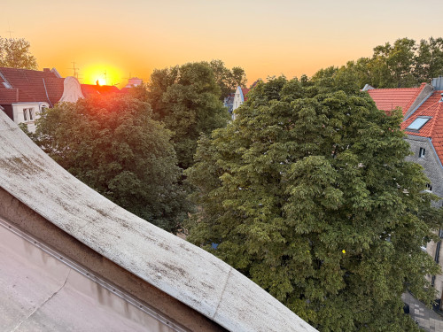 Unique 130 sqm period apartment with roof terrace in Oberkassel - Gallery - 2