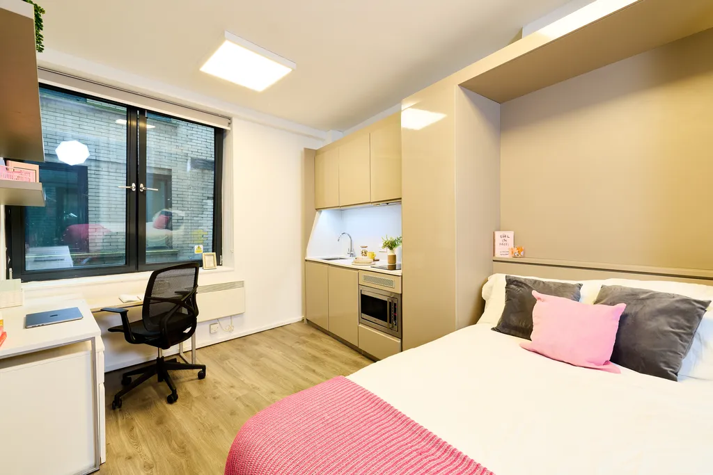  Premium Plus Studio  -  Zed Alley  - Gallery -  1