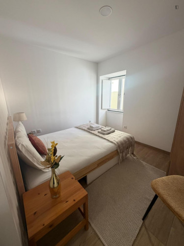 Tempting Studio close to University of Coimbra