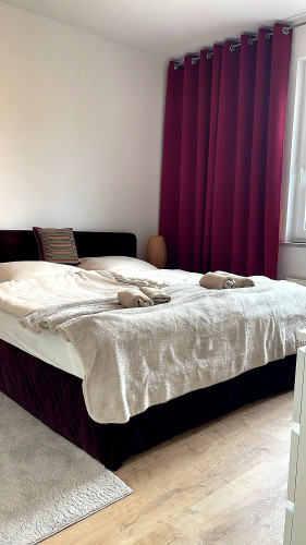 Charming 2-room oasis in Erlangen city center - Gallery - 29