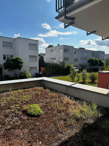 Charming 2-room oasis in Erlangen city center - Gallery - 21