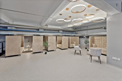 Stupendous studio in Johannstadt - Gallery - 46