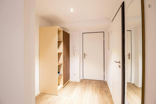 Stupendous studio in Johannstadt