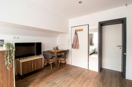 Stupendous studio in Johannstadt - Gallery - 52