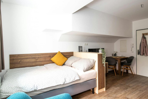 Stupendous studio in Johannstadt - Gallery - 53