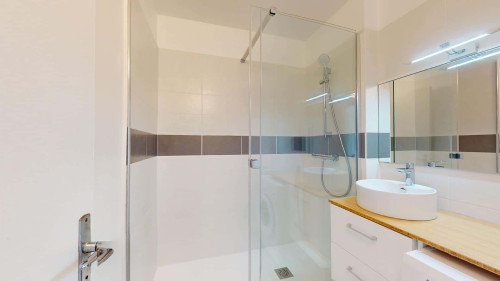 Room in Rue Professeur Patel, Lyon for 76 m² with 4 bedrooms - Gallery - 12