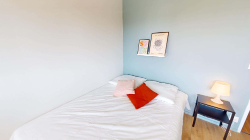 Room in Rue Professeur Patel, Lyon for 76 m² with 4 bedrooms