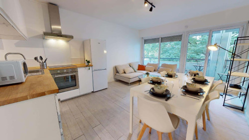 Room in Rue Professeur Patel, Lyon for 115 m² with 7 bedrooms