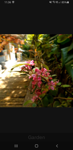 Furnished + Parking: Central Location. Stylish Apartment + Garden, Designed for Comfortable Living - Gallery - 7