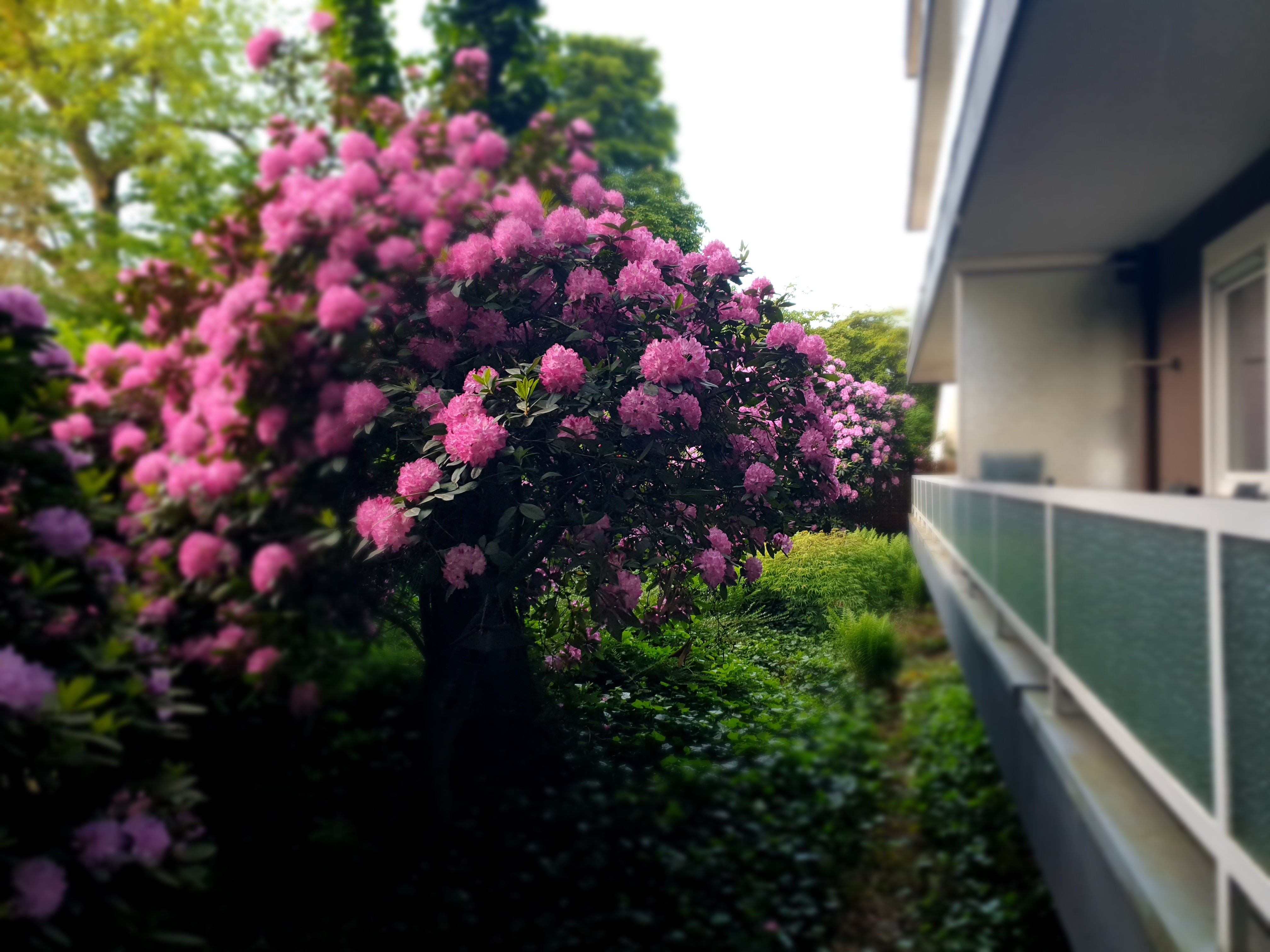 Furnished + Parking: Central Location. Stylish Apartment + Garden, Designed For Comfortable Living - 11