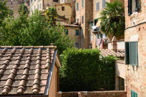 Bright 1-bedroom flat near the University of Siena - Gallery - 3