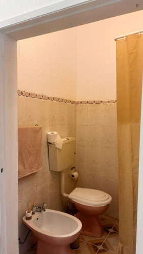Cozy 1 Bedroom Apartment close to Polytechnic Institute Of Portalegre