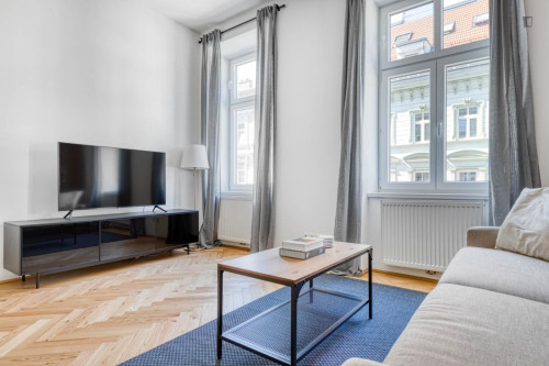 Very neat 1-bedroom apartment in Matzleinsdorf - Gallery - 7