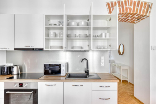 Very neat 1-bedroom apartment in Matzleinsdorf - Gallery - 12