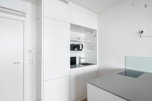 1-Bedroom apartment in Mariahilf - Gallery - 13