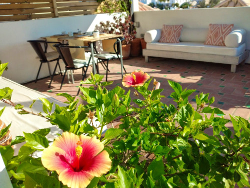 Dona Ana Home - Gallery - 41