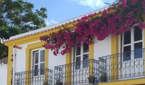 Dona Ana Home - Gallery - 77