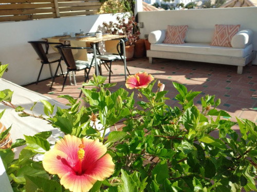 Dona Ana Home - Gallery - 11