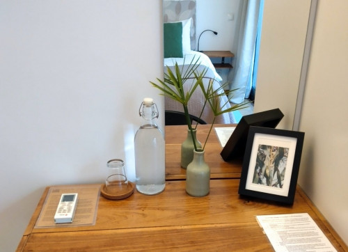 Dona Ana Home - Gallery - 16